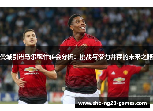 曼城引进马尔穆什转会分析：挑战与潜力并存的未来之路