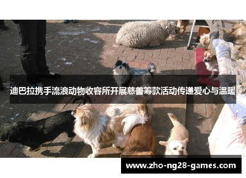 迪巴拉携手流浪动物收容所开展慈善筹款活动传递爱心与温暖