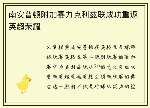 南安普顿附加赛力克利兹联成功重返英超荣耀