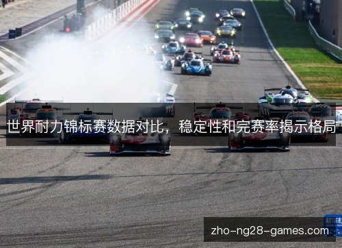 世界耐力锦标赛数据对比,稳定性和完赛率揭示格局 世界耐力锦标赛数据对比,稳定性和完赛率揭示格局