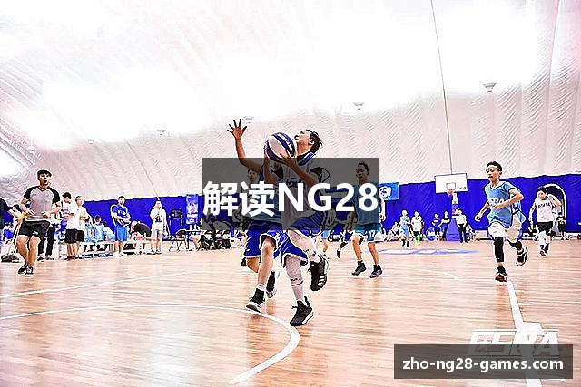 解读NG28